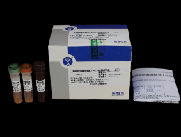 新城疫病毒熒光RT-PCR檢測(cè)試劑盒