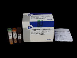 小反芻獸疫病毒熒光RT-PCR檢測(cè)試劑盒